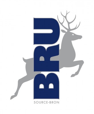 Logo de l'entreprise partenaire Bru-Chevron